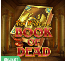 Book of Dead Slot von Play N'Go